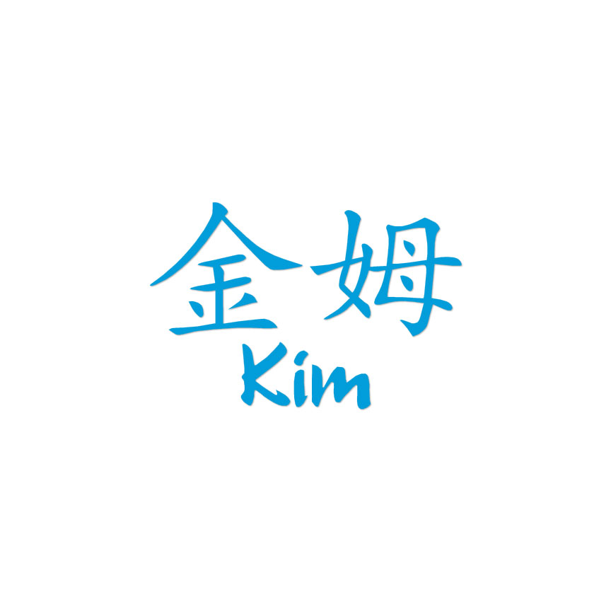 ⭐︎KIM⭐︎ Chinese Symbol Kim Name - Decal Sticker - Multiple Colors & Sizes
